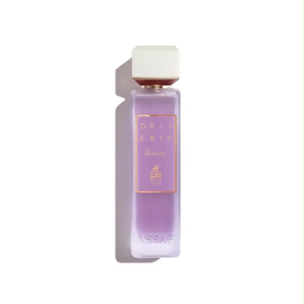 Gris Erik Eau de Parfum 100ml - ASSAF